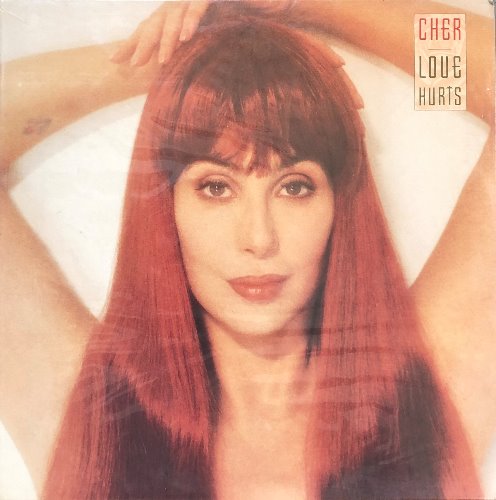 Cher - Love Hurts (미개봉)