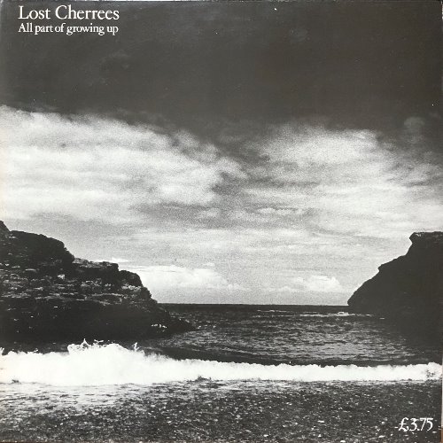 LOST CHERREES - All Part Of Growing Up (UK 1ST PRESSING LPFIGHT6) Anarcho Punk Rock