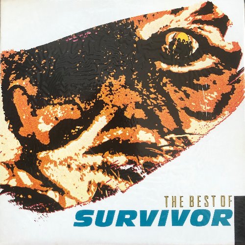Survivor - Best Of Survivor (미개봉)