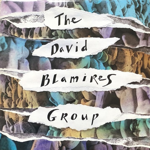 David Blamires Group - The David Blamires Group