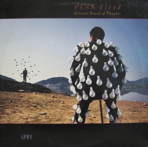 PINK FLOYD - DELICATE SOUND OF THUNDER (2LP)