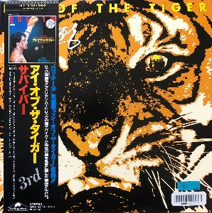 SURVIVOR - Eye Of The Tiger (가사지/OBI&#039;)