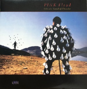 PINK FLOYD - DELICATE SOUND OF THUNDER/LIVE (가사지/2LP)