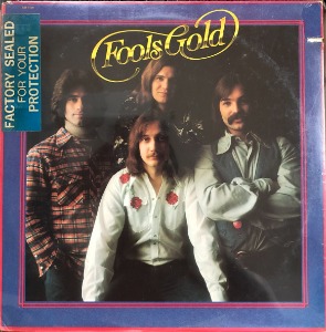FOOLS GOLD - FOOLS GOLD (Folk Country Rock &quot;DAN FOGELBERG The Eagles&quot; 1976 Morning Sky Label)