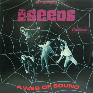 The Seeds - AWeb Of Sound