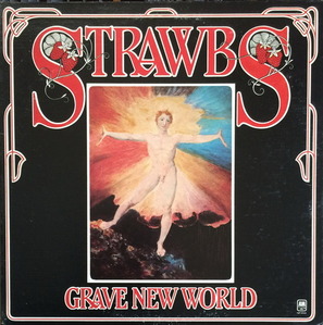 STRAWBS - Grave New World 