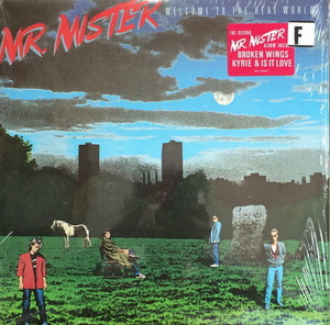 MR. MISTER - WELCOME TO THE REAL WORLD