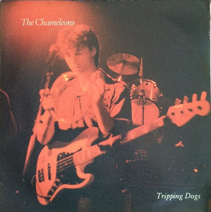 THE CHAMELEONS - Tripping Dogs (&quot;Britrock,Alternative/Indie&quot;)