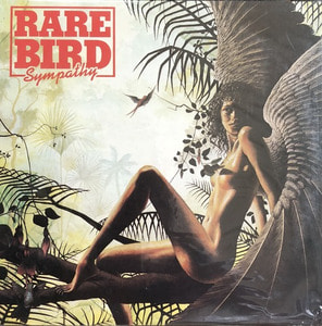 Rare Bird - Sympathy (미개봉)