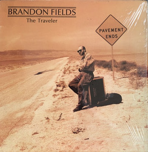 BRANDON FIELDS - THE TRAVELLER 