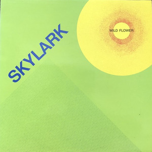 SKYLARK - WILD FLOWER