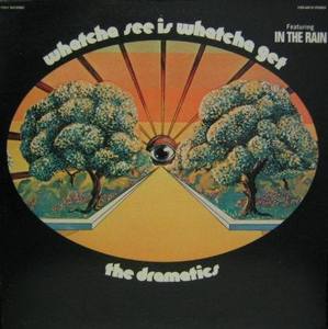 THE DRAMATICS - Whatcha See Is Whatcha Get