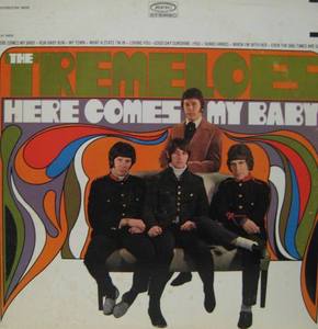 TREMELOES - Here Comes My Baby