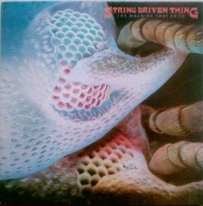STRING DRIVEN THING - The Machine That Cried