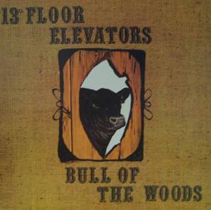 13TH FLOOR ELEVATORS - BULL OF THE WOODS