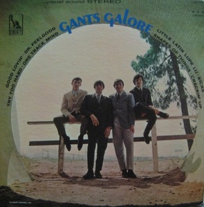 THE GANTS - Gants Galore