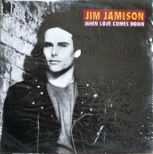JIM JAMISON - WHEN LOVE COMES DOWN (미개봉)